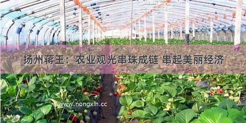 扬州蒋王：农业观光串珠成链 串起美丽经济