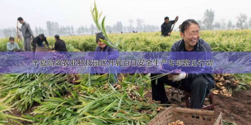 宁夏高效农业科技园区开展百日安全生产专项整治行动