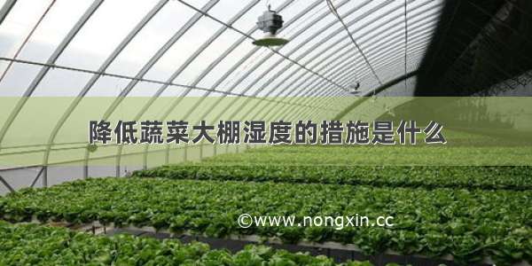 降低蔬菜大棚湿度的措施是什么
