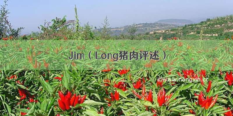 Jim（Long猪肉评述）