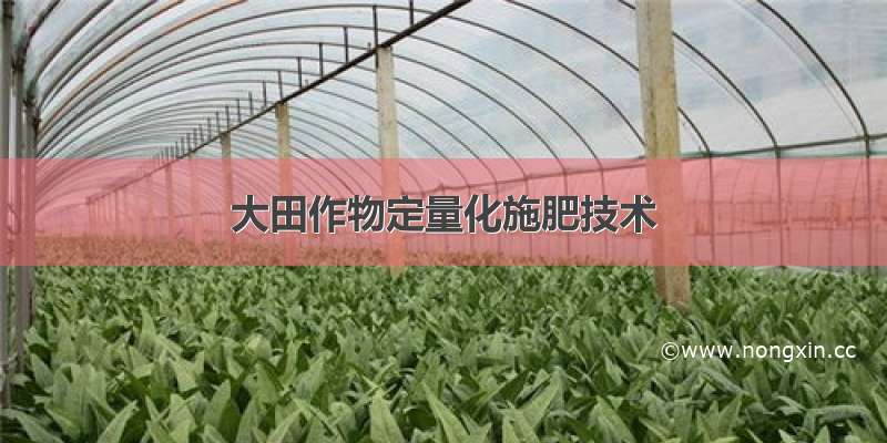 大田作物定量化施肥技术