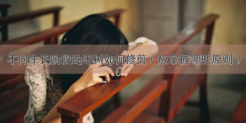 不同生长阶段的枣树如何修剪（应掌握哪些原则）