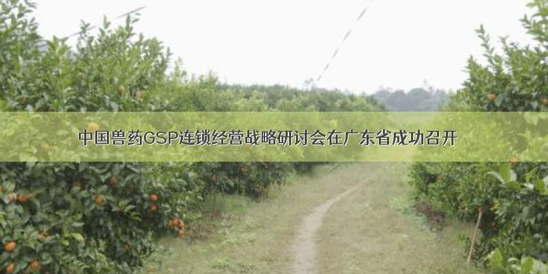 中国兽药GSP连锁经营战略研讨会在广东省成功召开