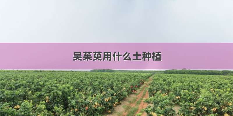 吴茱萸用什么土种植