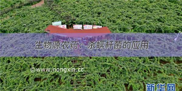 生物源农药：杀螟杆菌的应用