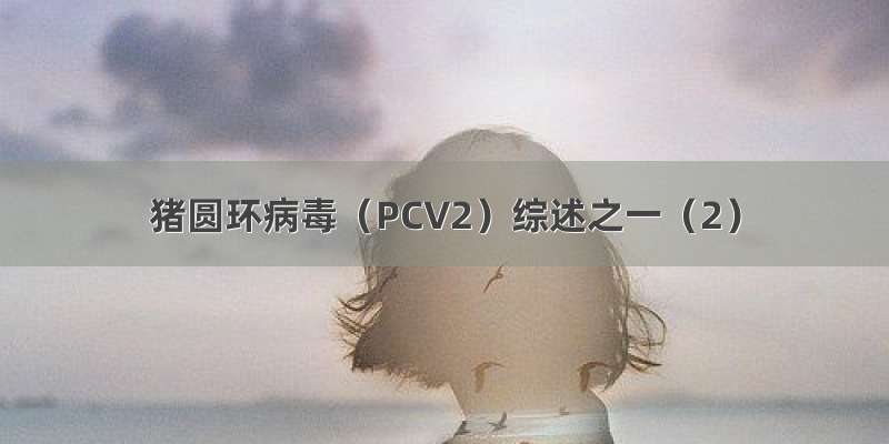 猪圆环病毒（PCV2）综述之一（2）