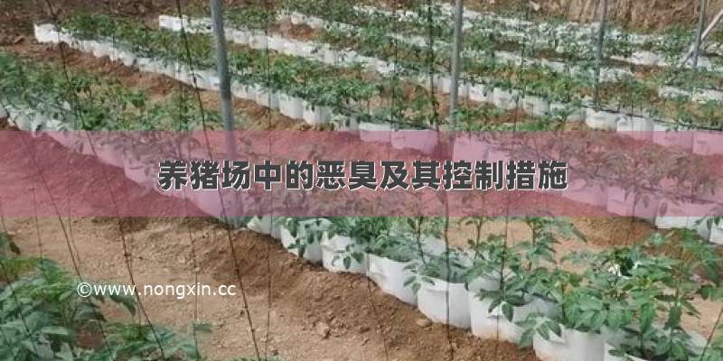 养猪场中的恶臭及其控制措施