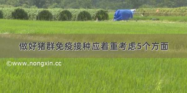 做好猪群免疫接种应着重考虑5个方面