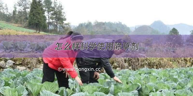 怎么样科学使用除草剂