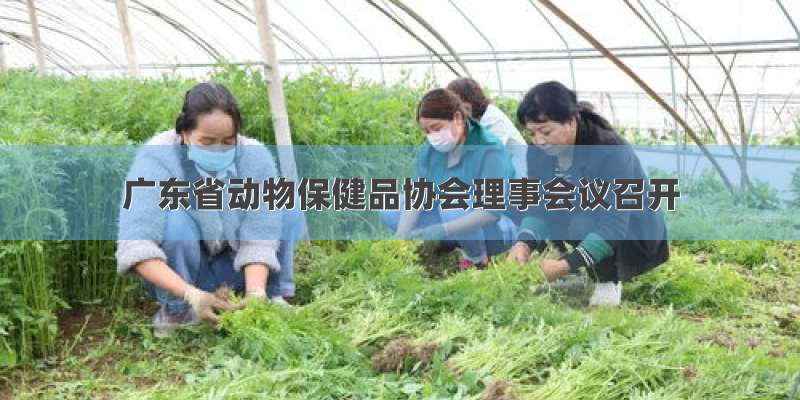 广东省动物保健品协会理事会议召开