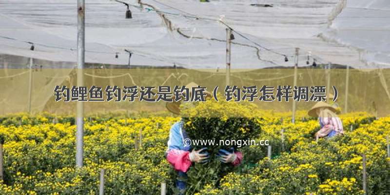 钓鲤鱼钓浮还是钓底（钓浮怎样调漂）