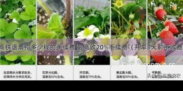 高铁退票扣多少钱的手续费 最高收20%手续费（开车8天前不收费）