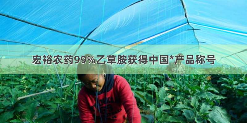 宏裕农药99%乙草胺获得中国*产品称号