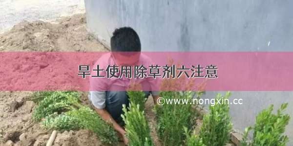 旱土使用除草剂六注意