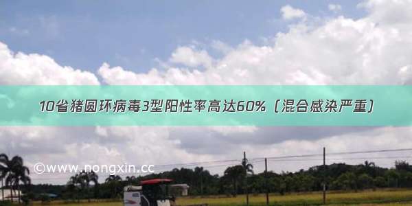 10省猪圆环病毒3型阳性率高达60%（混合感染严重）