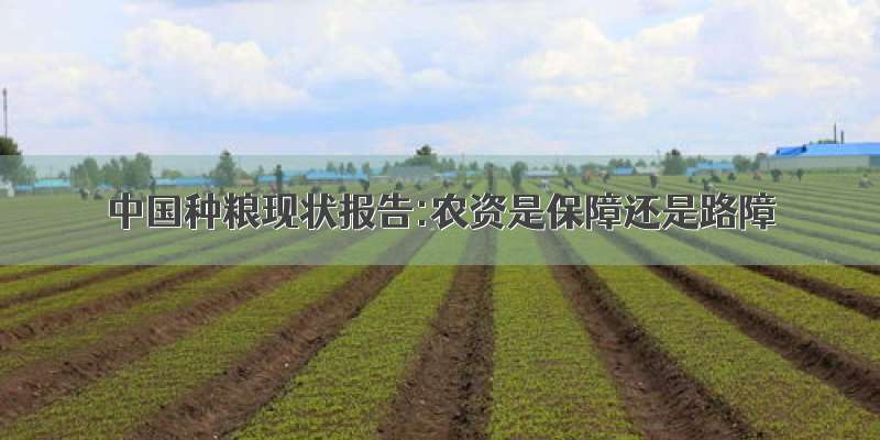 中国种粮现状报告:农资是保障还是路障