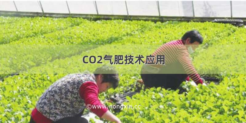 CO2气肥技术应用
