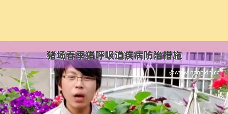 猪场春季猪呼吸道疾病防治措施