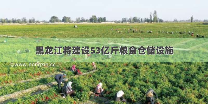 黑龙江将建设53亿斤粮食仓储设施