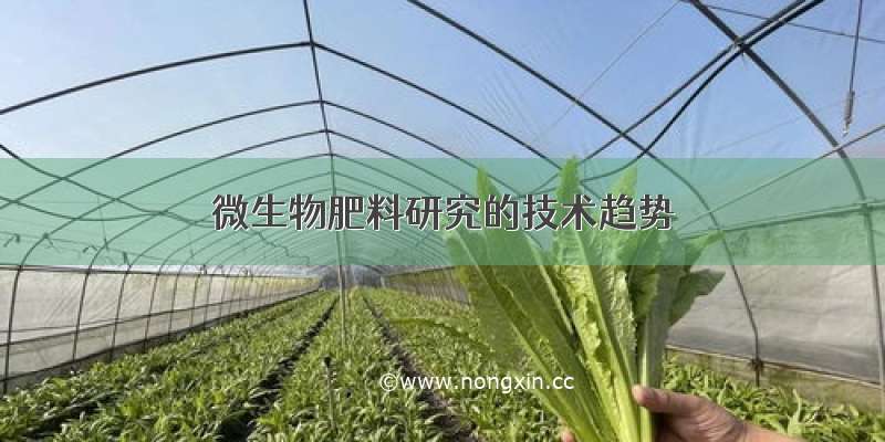 微生物肥料研究的技术趋势