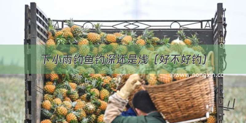 下小雨钓鱼钓深还是浅（好不好钓）