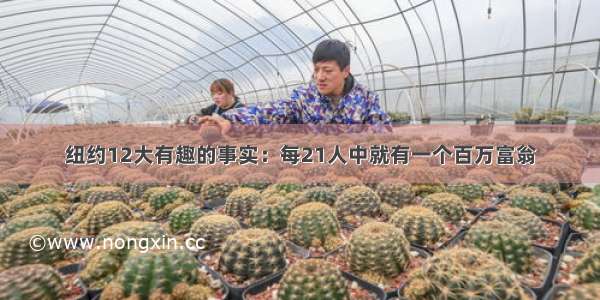 纽约12大有趣的事实：每21人中就有一个百万富翁