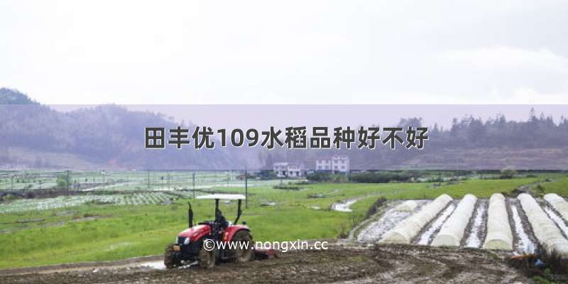 田丰优109水稻品种好不好