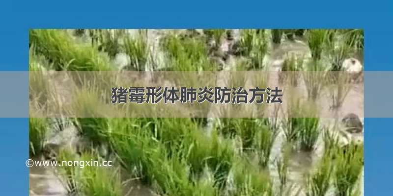 猪霉形体肺炎防治方法