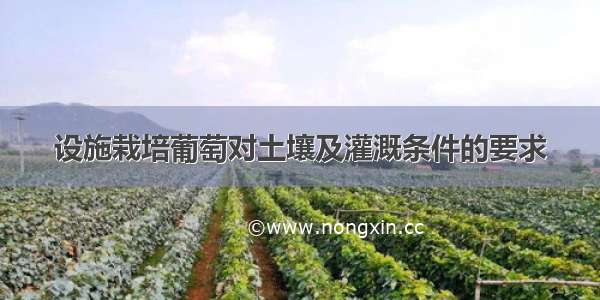 设施栽培葡萄对土壤及灌溉条件的要求
