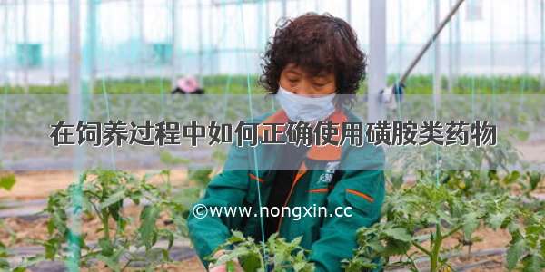 在饲养过程中如何正确使用磺胺类药物