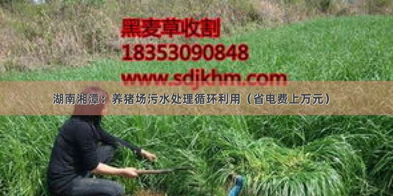 湖南湘潭：养猪场污水处理循环利用（省电费上万元）