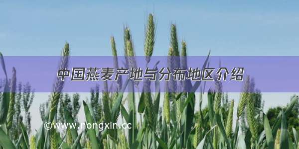 中国燕麦产地与分布地区介绍