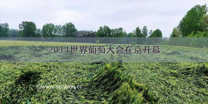 2014世界葡萄大会在京开幕
