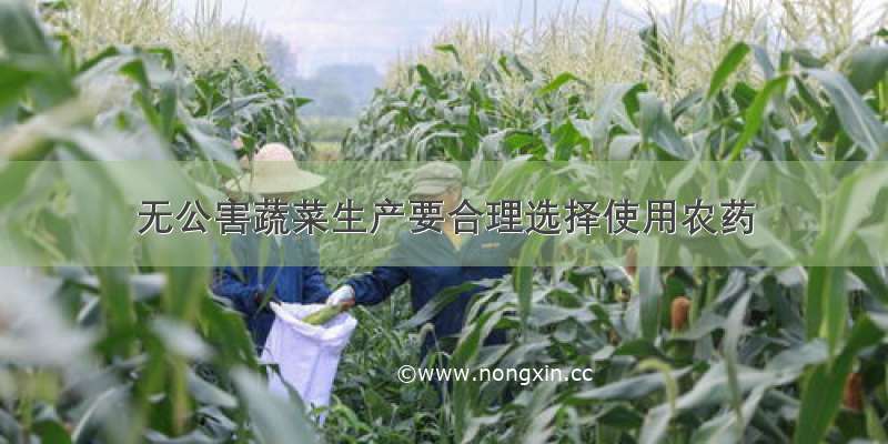 无公害蔬菜生产要合理选择使用农药