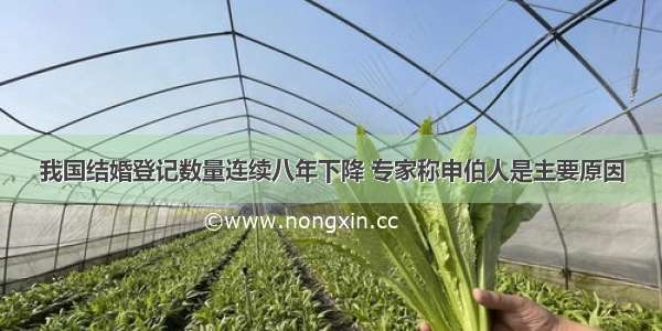 我国结婚登记数量连续八年下降 专家称申伯人是主要原因