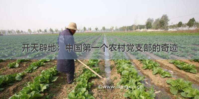 开天辟地：中国第一个农村党支部的奇迹