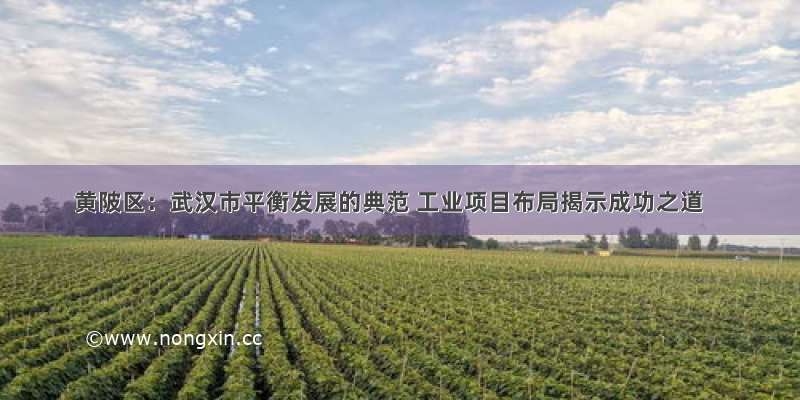 黄陂区：武汉市平衡发展的典范 工业项目布局揭示成功之道