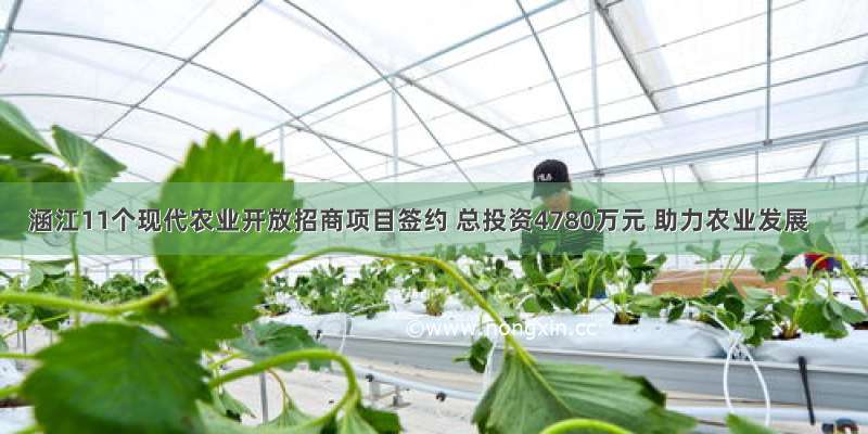 涵江11个现代农业开放招商项目签约 总投资4780万元 助力农业发展