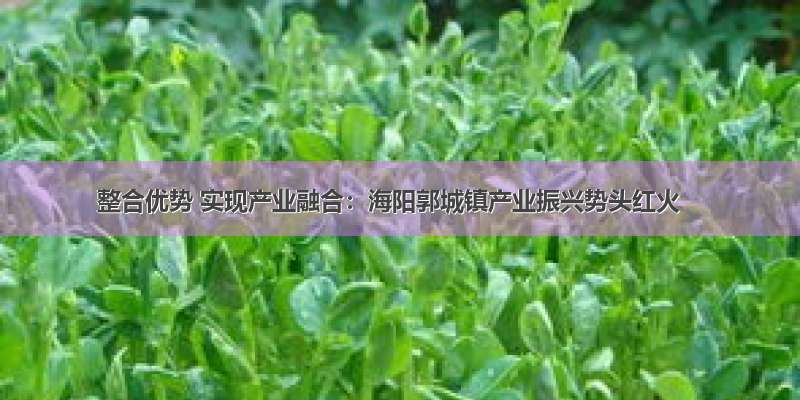 整合优势 实现产业融合：海阳郭城镇产业振兴势头红火