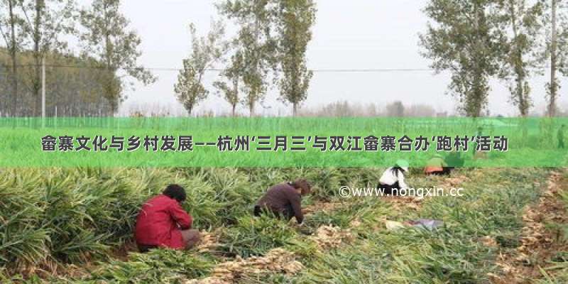 畲寨文化与乡村发展——杭州‘三月三’与双江畲寨合办‘跑村’活动