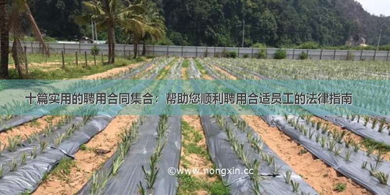 十篇实用的聘用合同集合：帮助您顺利聘用合适员工的法律指南