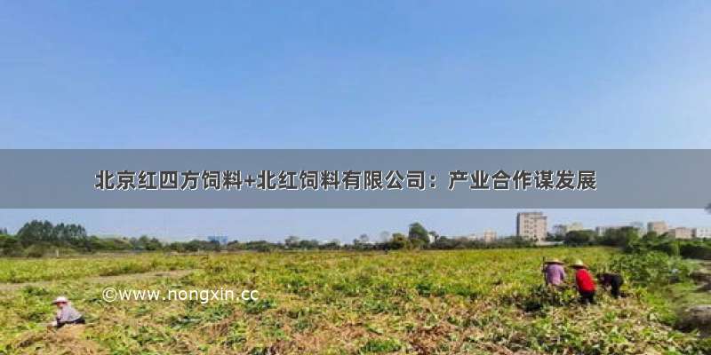 北京红四方饲料+北红饲料有限公司：产业合作谋发展