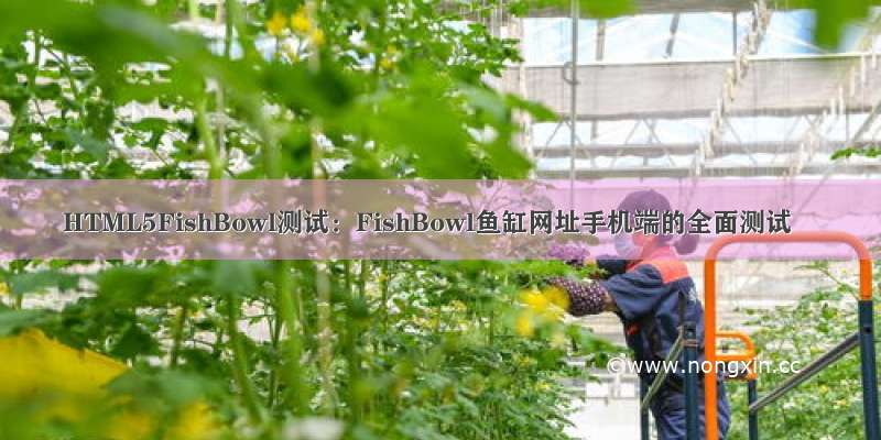 HTML5FishBowl测试：FishBowl鱼缸网址手机端的全面测试