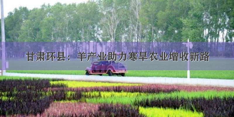甘肃环县：羊产业助力寒旱农业增收新路