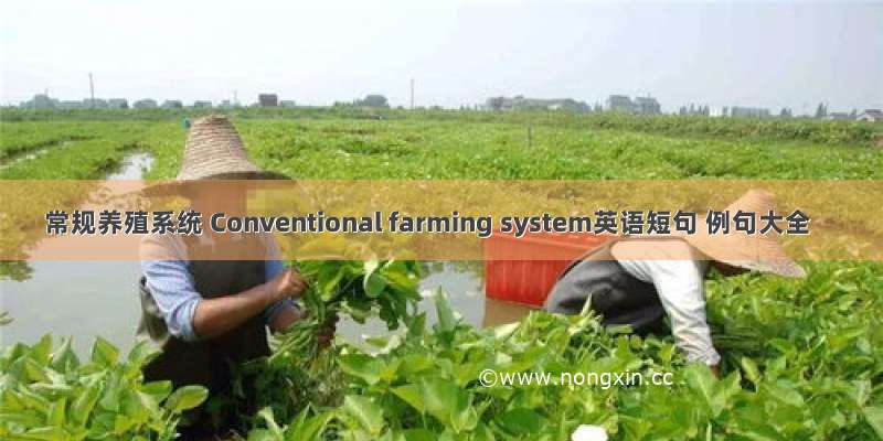 常规养殖系统 Conventional farming system英语短句 例句大全