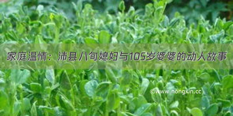 家庭温情：沛县八旬媳妇与105岁婆婆的动人故事