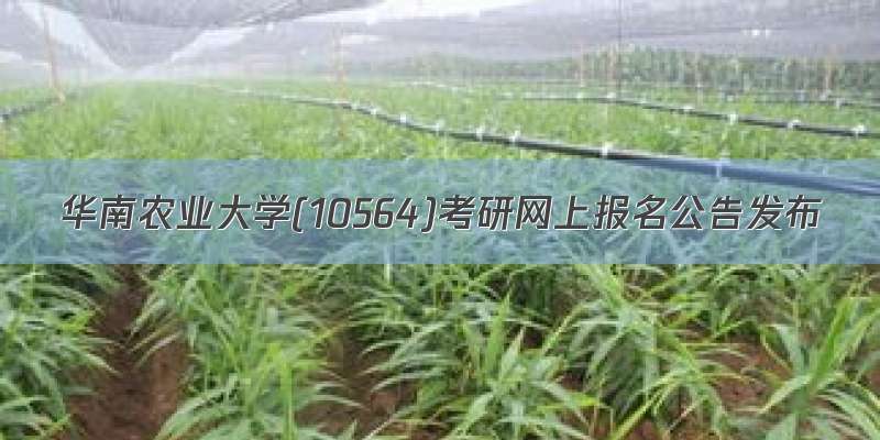 华南农业大学(10564)考研网上报名公告发布
