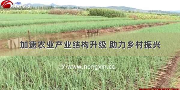 加速农业产业结构升级 助力乡村振兴