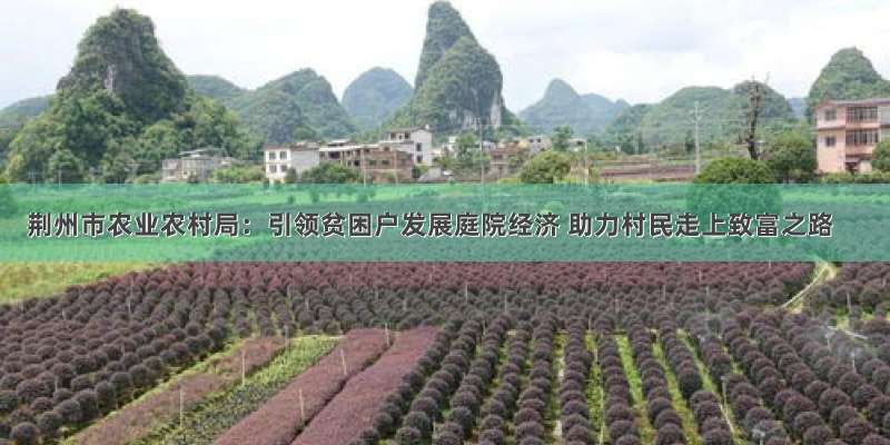 荆州市农业农村局：引领贫困户发展庭院经济 助力村民走上致富之路