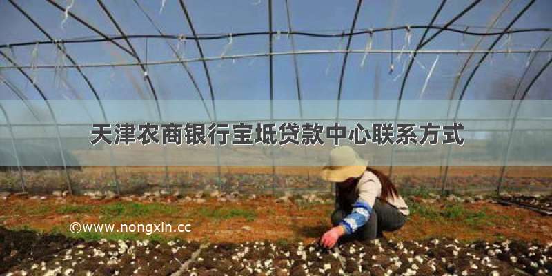 天津农商银行宝坻贷款中心联系方式
